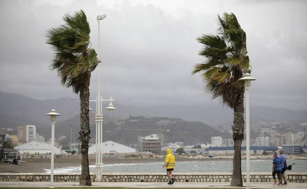El 112 avisa del fuerte viento en Málaga: rachas de hasta 70 kilómetros dejan decenas de incidencias
