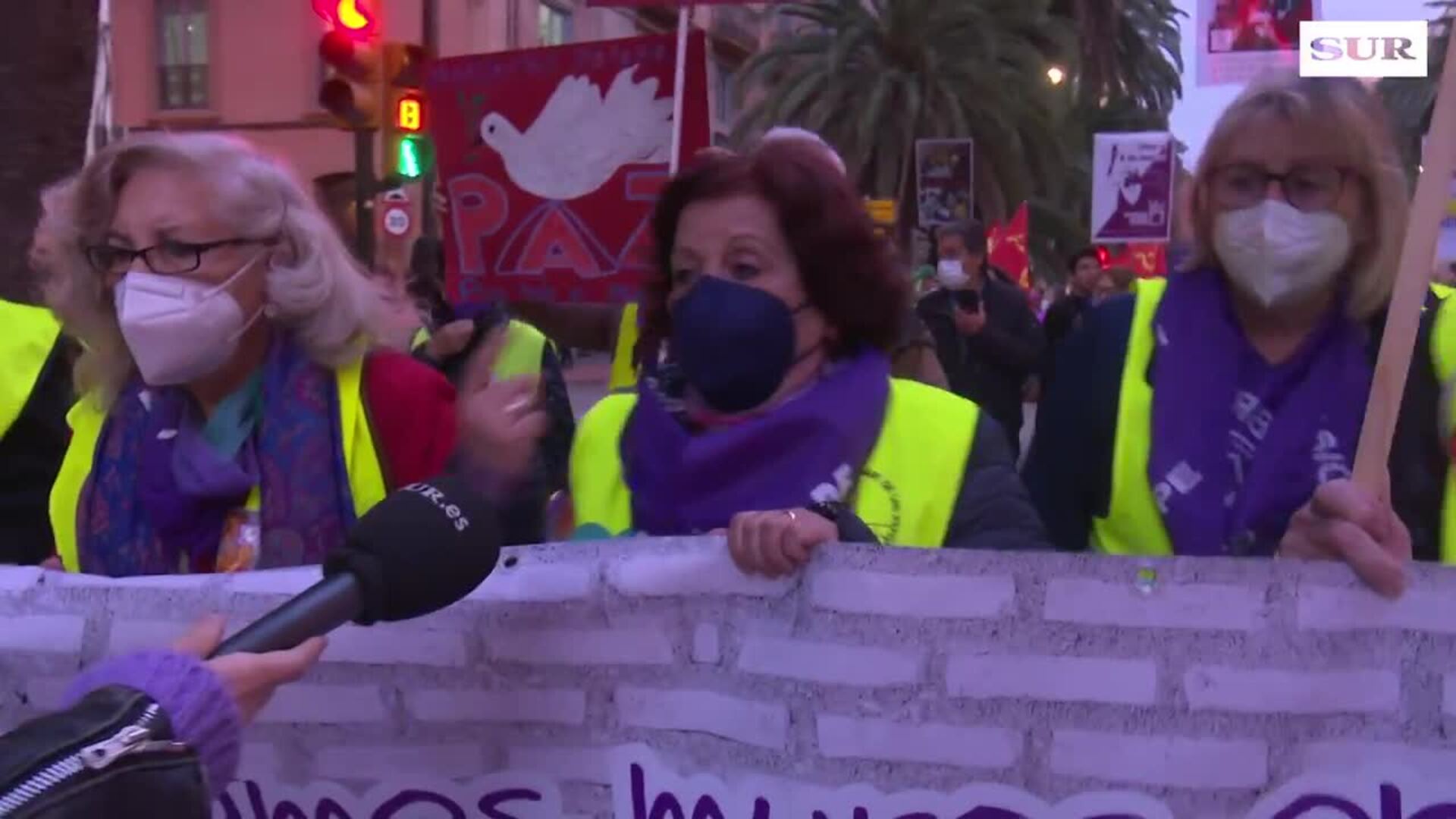 Rostros y las voces del 8M en Málaga: Pepa