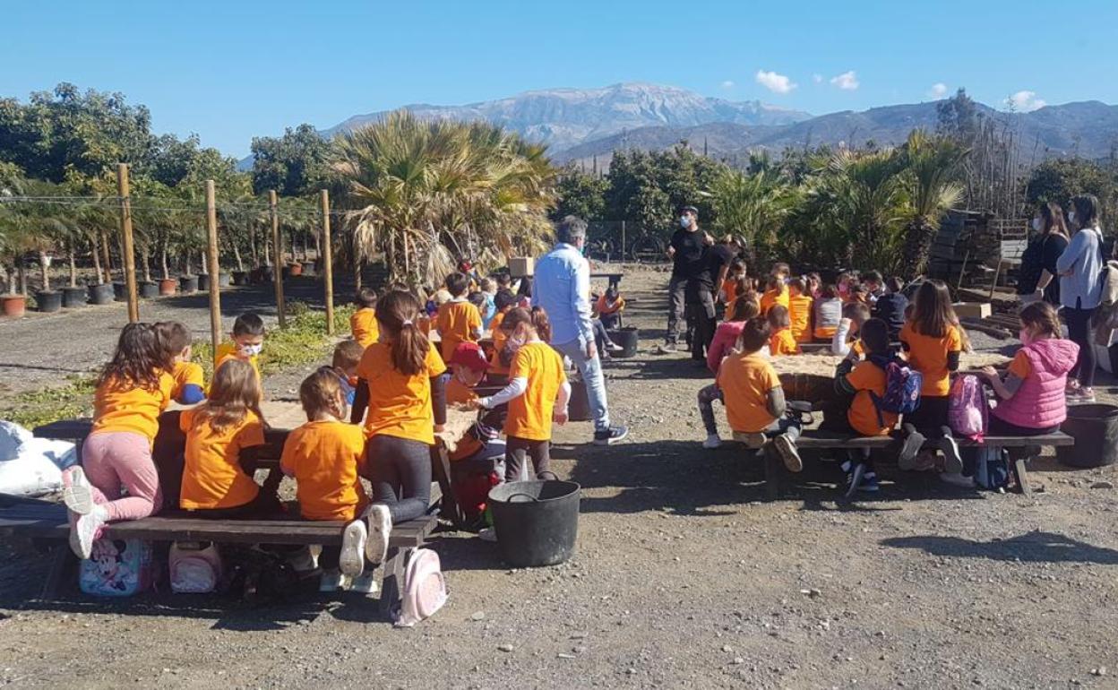 Escolares, en uno de los talleres en el vivero provincial de la Diputación en Vélez-Málaga. 