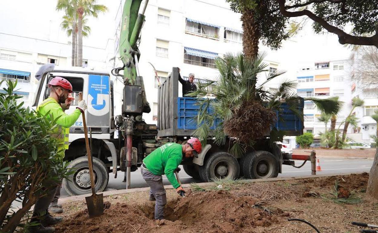 Actuaciones en calle Doha. 