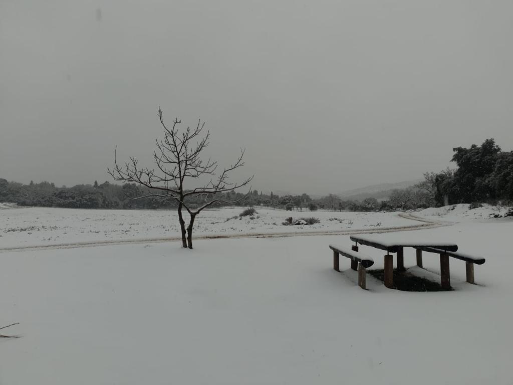 El paso de la borrasca Celia deja nieve y lluvia en distintos puntos de la provincia malagueña. En la imagen, el cortijo Las Navas de los Pinsapos, en Parauta.