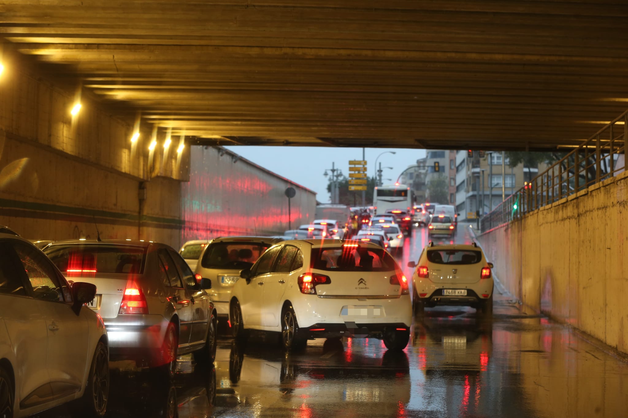 El paso de la borrasca Celia deja nieve y lluvia en distintos puntos de la provincia malagueña