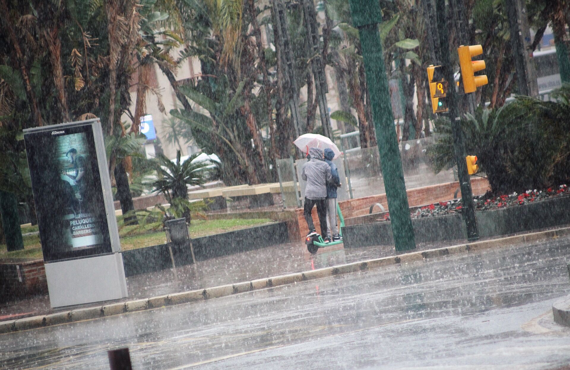 El paso de la borrasca Celia deja nieve y lluvia en distintos puntos de la provincia malagueña