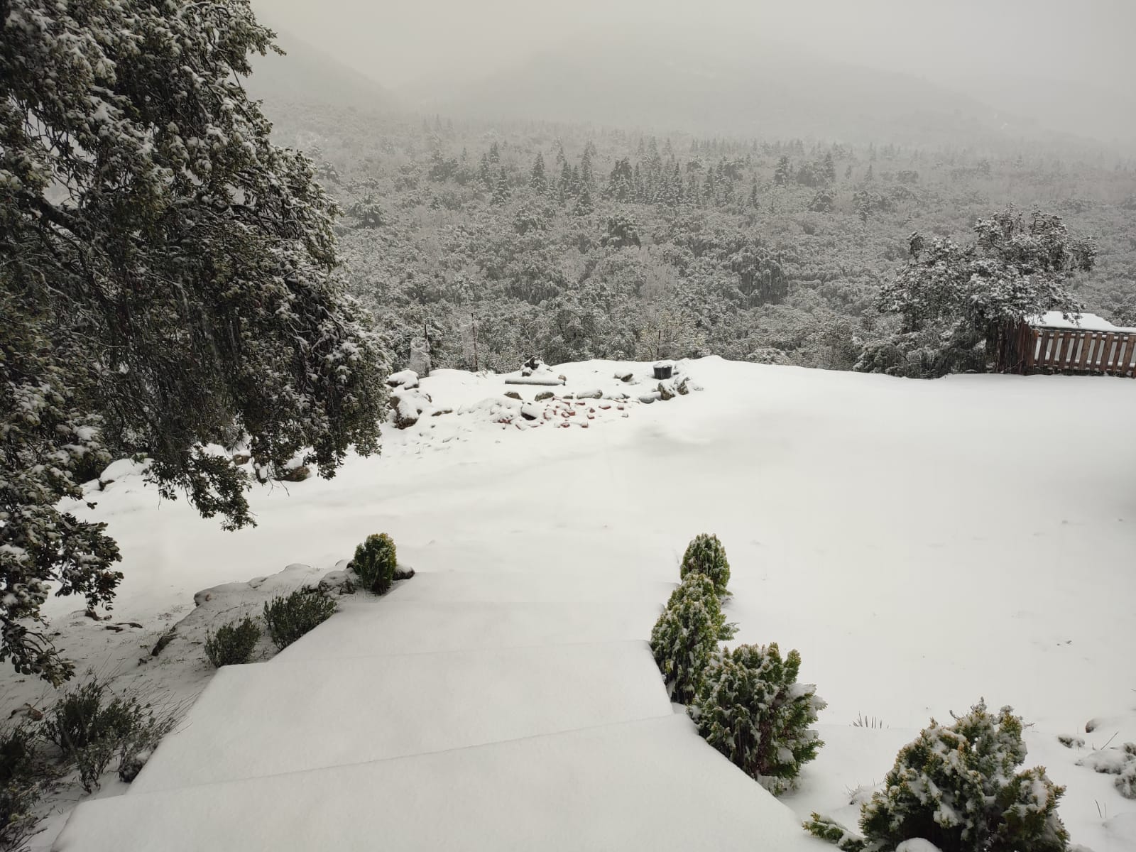 El paso de la borrasca Celia deja nieve y lluvia en distintos puntos de la provincia malagueña. En la imagen, el cortijo Las Navas de los Pinsapos, en Parauta.