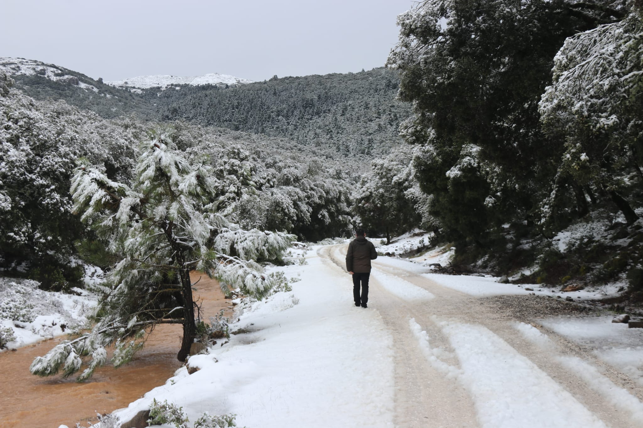 El paso de la borrasca Celia deja nieve y lluvia en distintos puntos de la provincia malagueña. El paso de la borrasca Celia deja nieve y lluvia en distintos puntos de la provincia malagueña. Acceso al parque Sierra de las Nieves