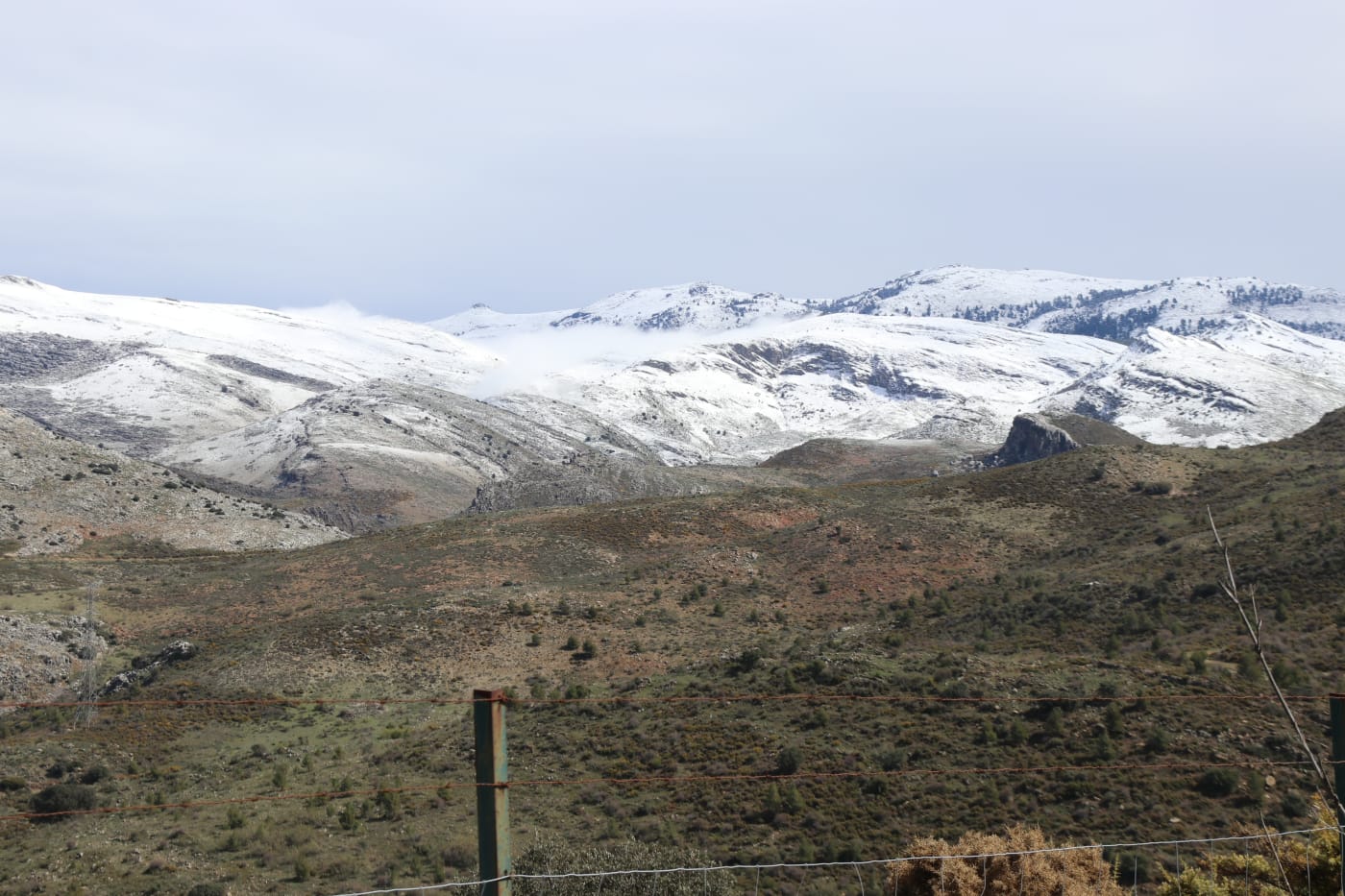 El paso de la borrasca Celia deja nieve y lluvia en distintos puntos de la provincia malagueña. Acceso al parque Sierra de las Nieves