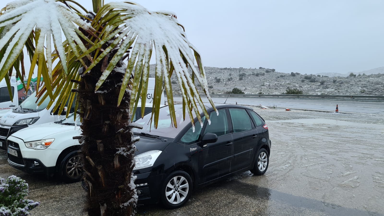 El paso de la borrasca Celia deja nieve y lluvia en distintos puntos de la provincia malagueña. En la imagen, el cortijo Las Navas de los Pinsapos, en Parauta.