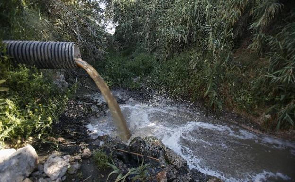 Vertido de aguas residuales al río Guadalhorce desde el término municipal de Cártama. 