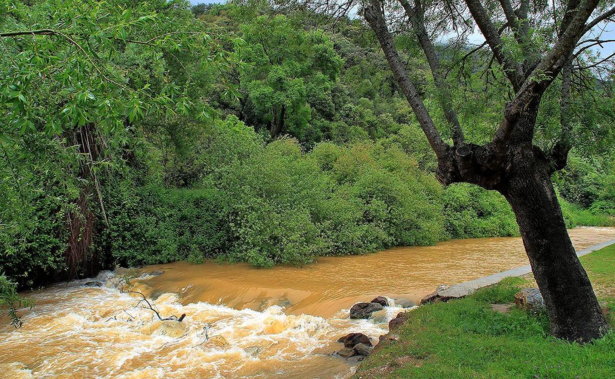 Un tramo del río Guadiaro en Jimera. 