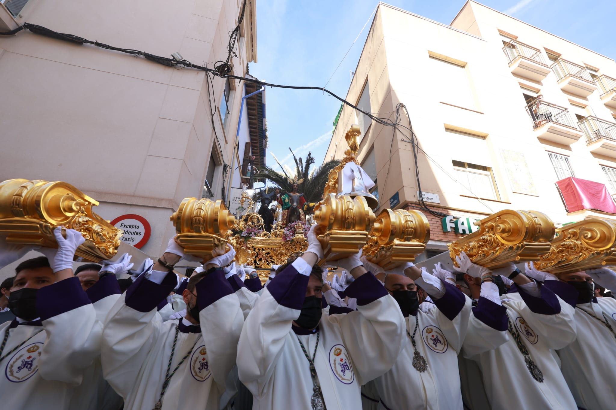 La Pollinica. Domingo de Ramos en Málaga. 