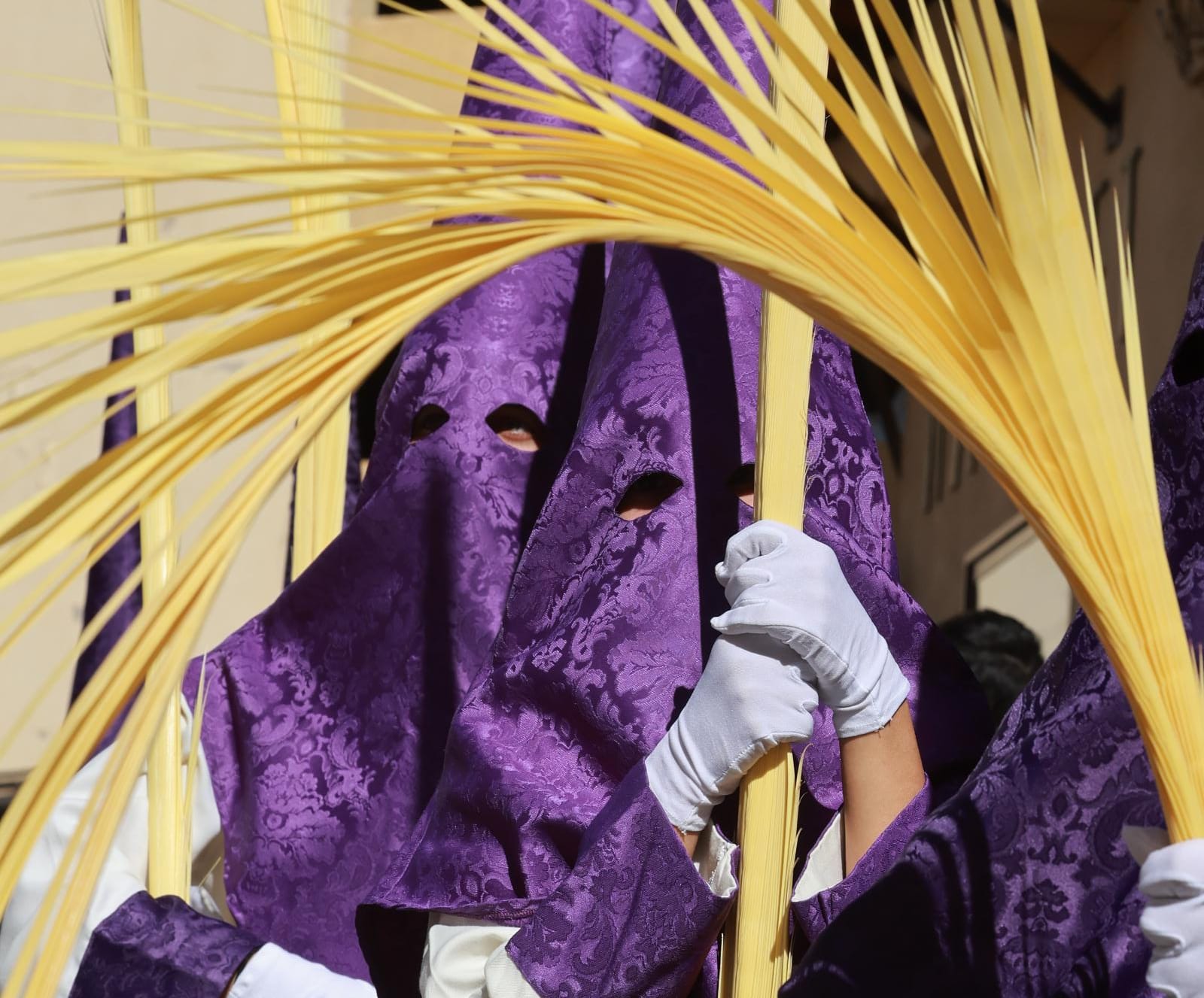 La Pollinica. Domingo de Ramos en Málaga. 