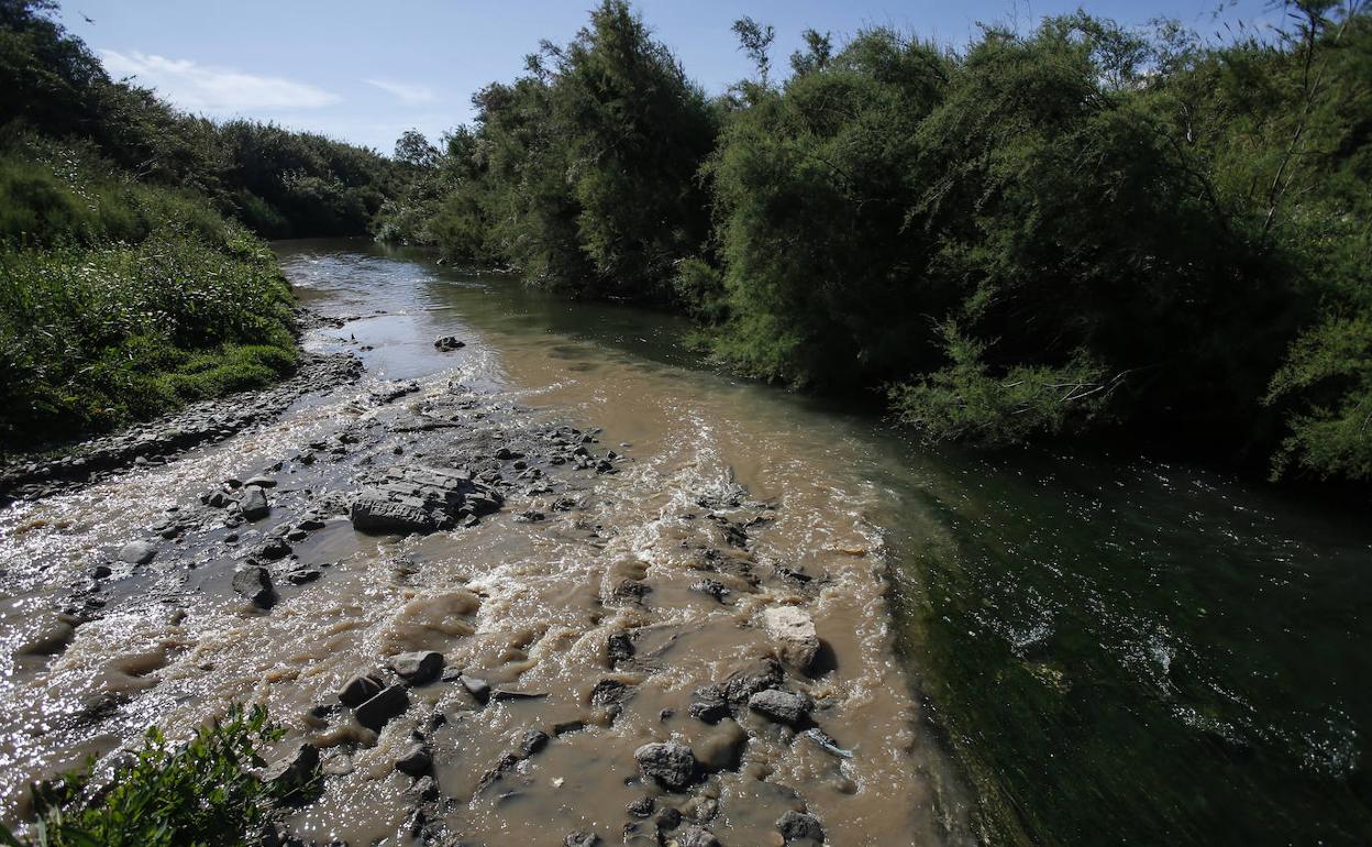 Tramo del río Guadalhorce en el que se vierten parte de las aguas residuales de Cártama. 