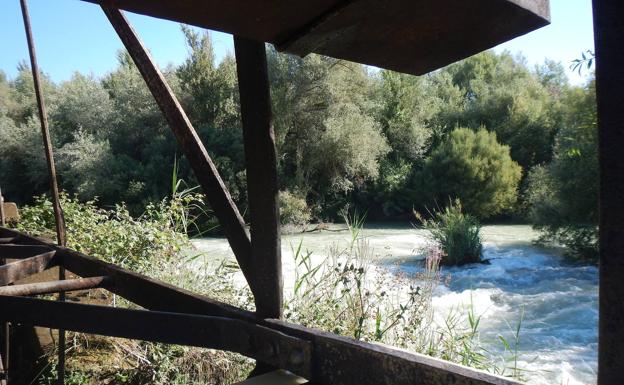 Las aguas bravas del Genil, vistas a través de la restaurada noria de la Aceña. 