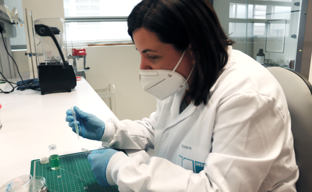 La investigadora Susana Guzmán sostiene un fragmento del bioplástico elaborado a base de celulosa. 