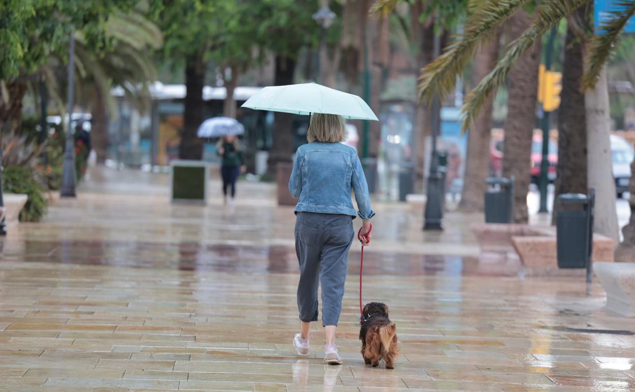 Las lluvias han regresado este martes de manera generalizada. 