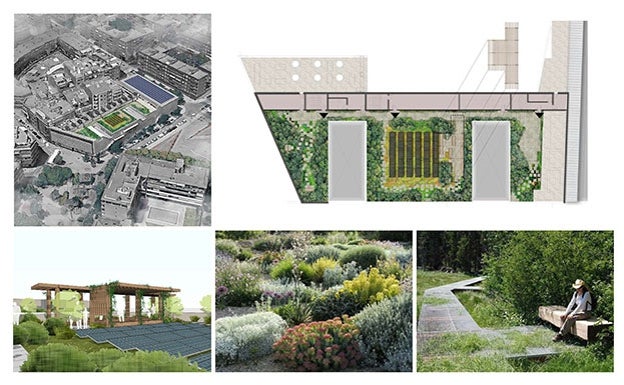 Proyecto de biocubierta solar para edificios públicos en San Boi de Llobregat. 