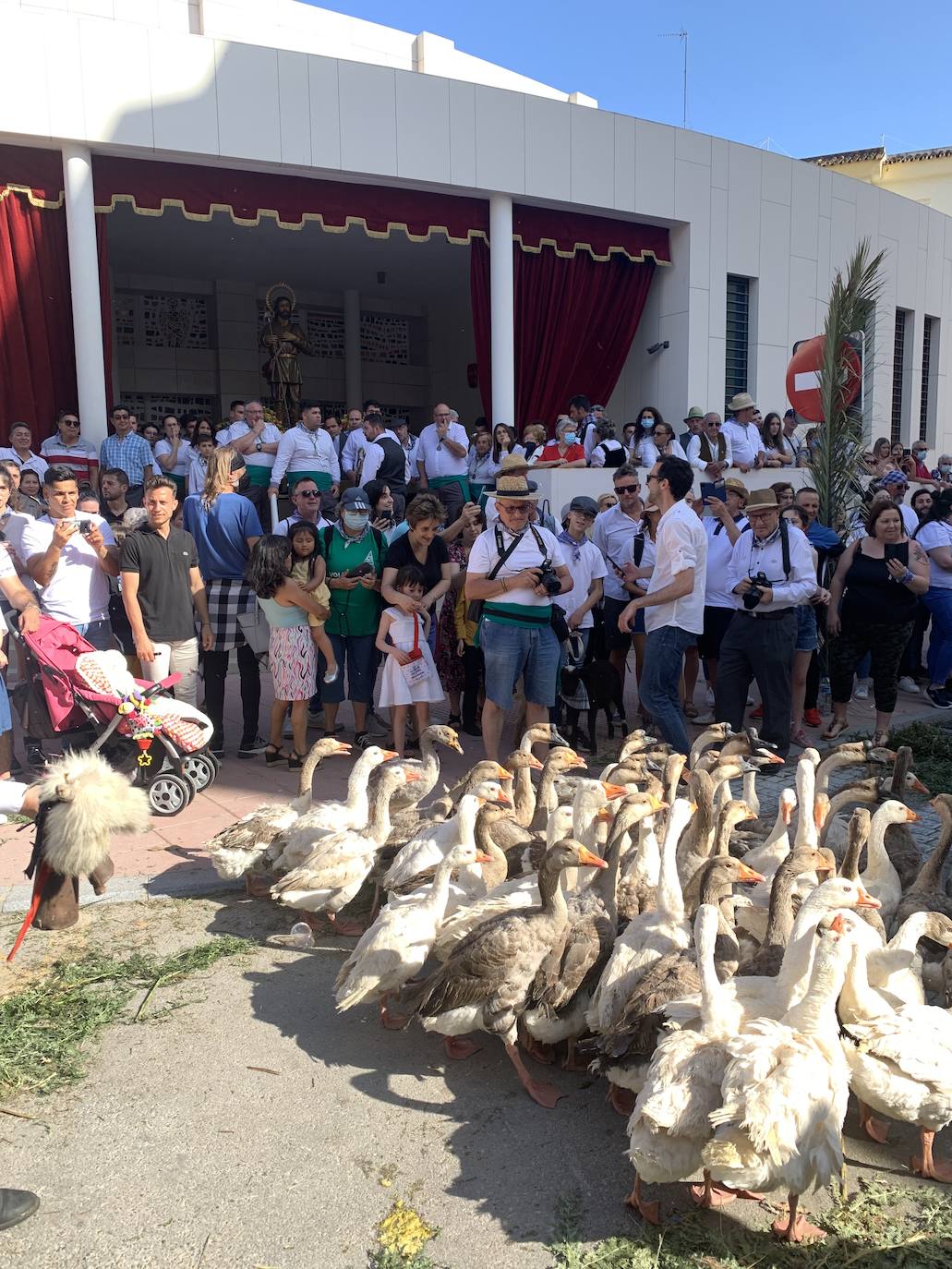 San Isidro vuelve a las calles de Estepona