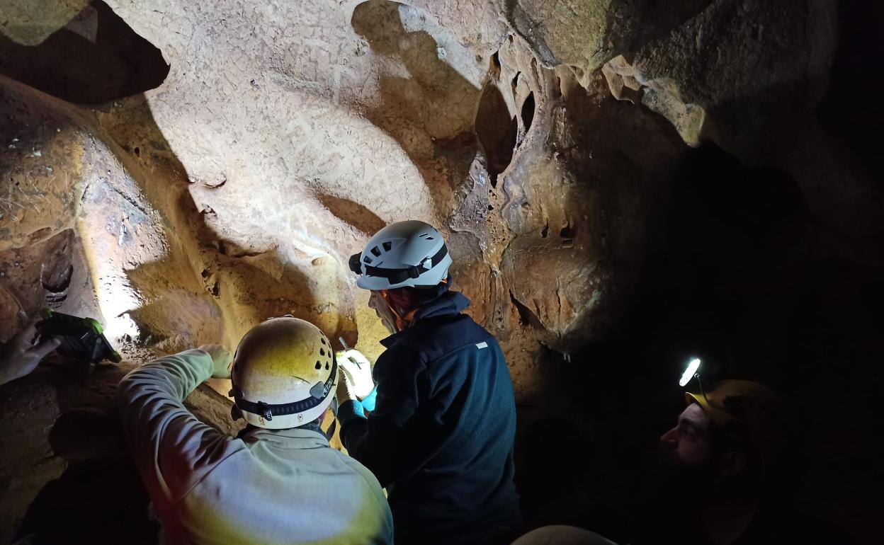 Investigadores en el interior de la cavidad rinconera. 