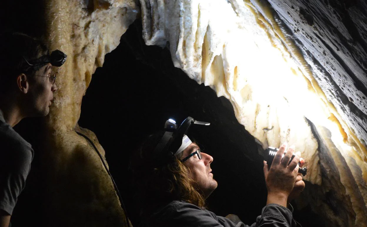 Investigación en la Cueva de Ardales.