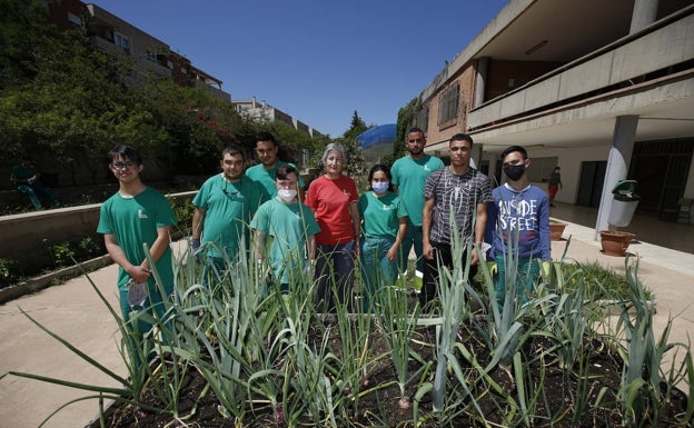 Imagen principal - Arriba, Alicia Pavón con los alumnos del módulo de agrojardinería. Abajo, a la izquierda Valle García y un grupo de estudiantes del módulo de arreglos florales. Al lado, Virgina Raigón y Ana arreglan una falda. 