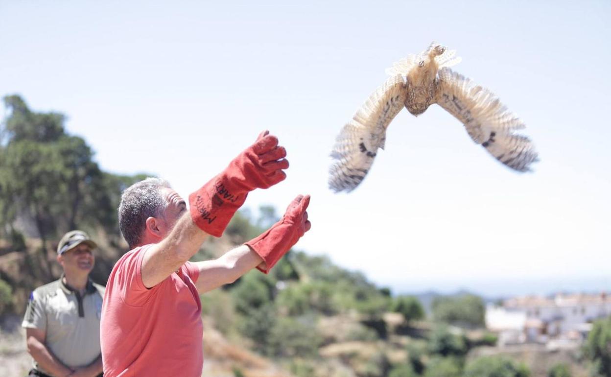 El consejero de Presidencia, Elías Bendodo, en la suelta de las aves. 