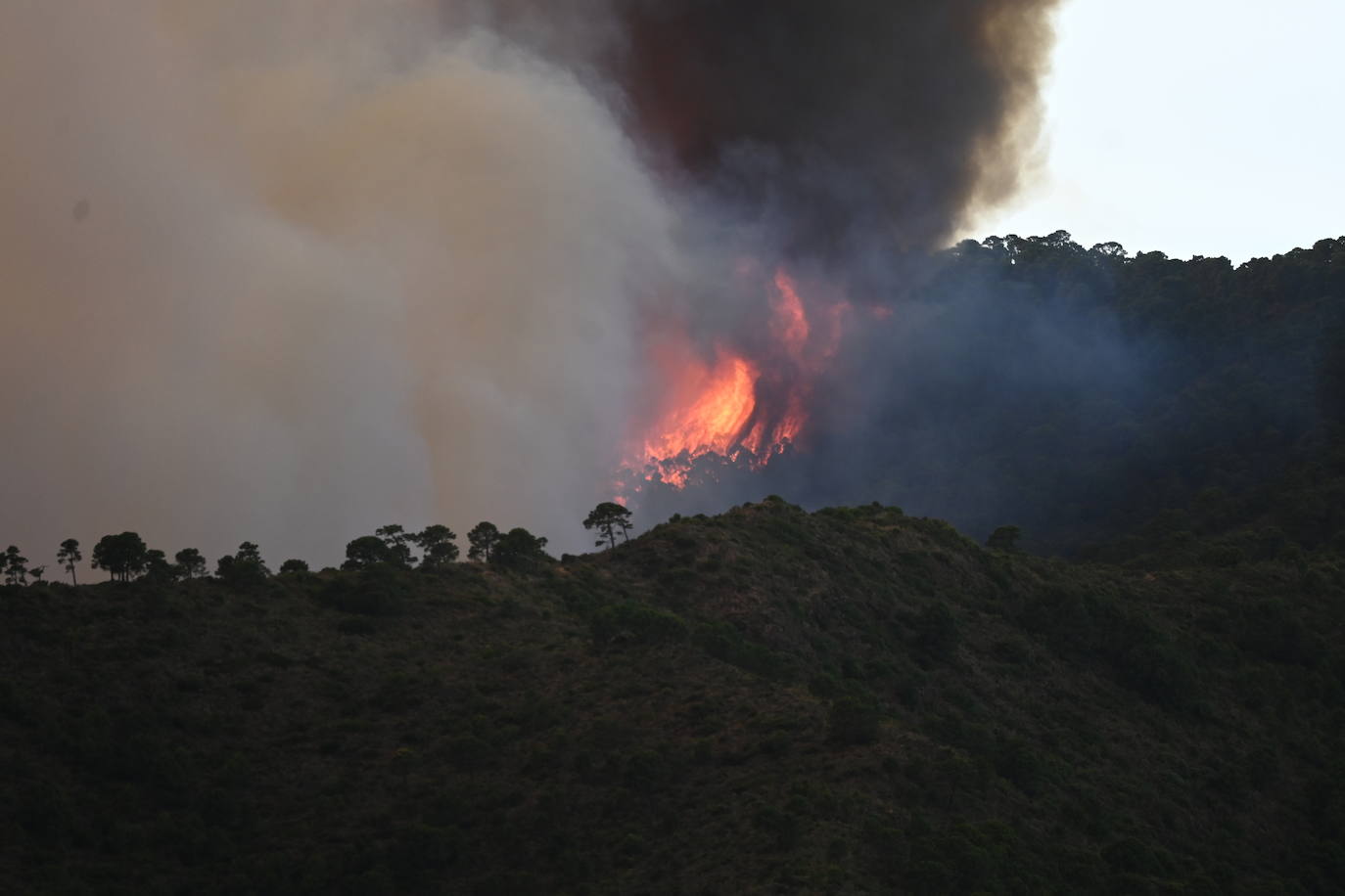 Las llamas vuelven a la zona de Pujerra y Sierra Bermeja. 