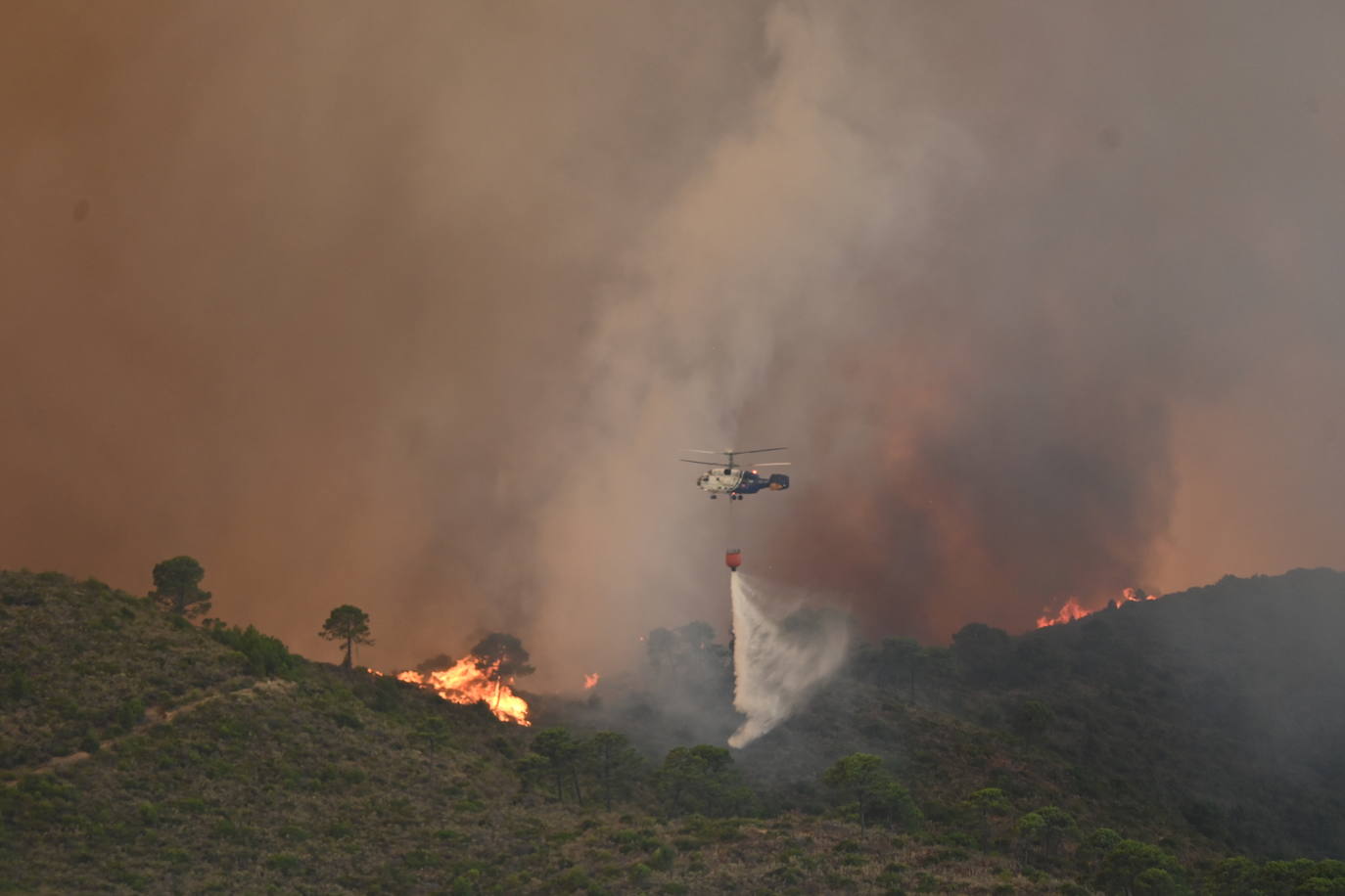 Las llamas vuelven a la zona de Pujerra y Sierra Bermeja. 