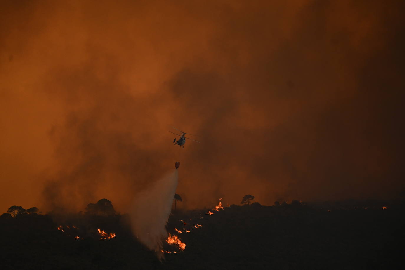 Las llamas vuelven a la zona de Pujerra y Sierra Bermeja. 