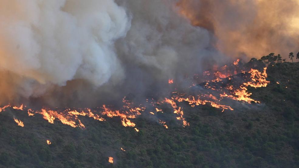 Galería de imágenes del incendio de Málaga