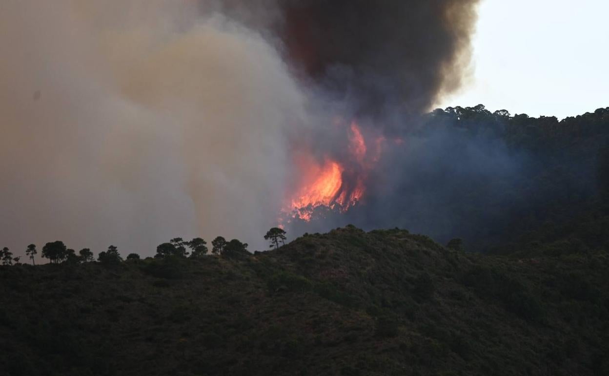 Incendio de Sierra Bermeja, en directo | Más de 100 efectivos terrestres trabajan de noche