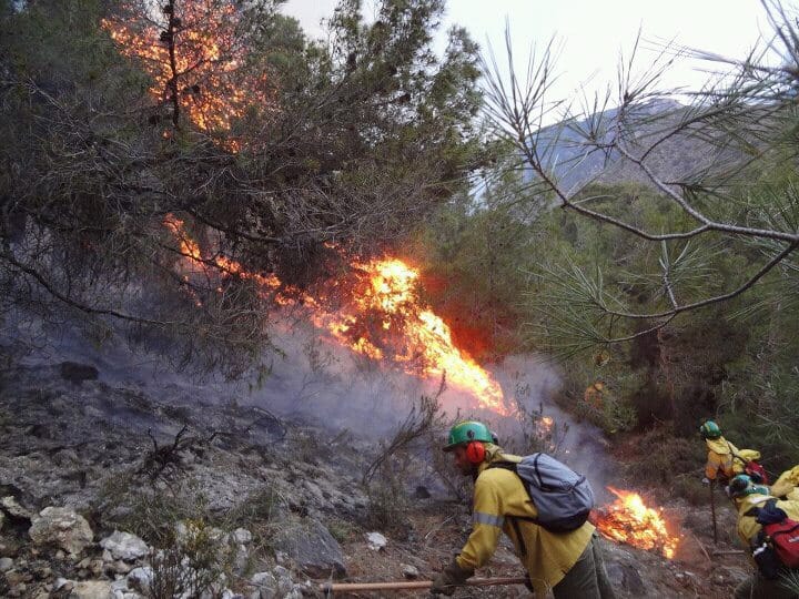 Las llamas vuelven a la zona de Pujerra y Sierra Bermeja. 