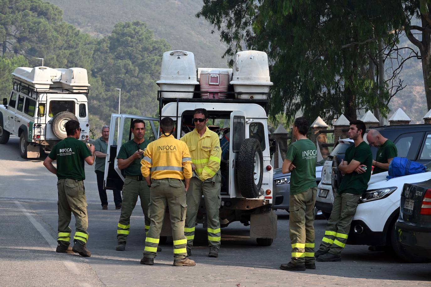 Las llamas vuelven a la zona de Pujerra y Sierra Bermeja. 