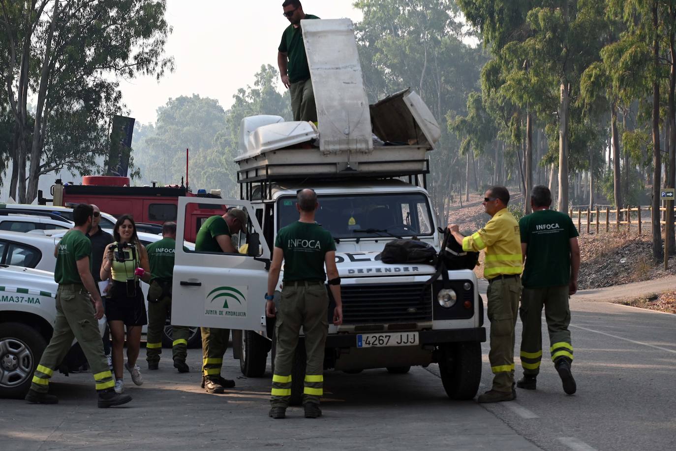 Las llamas vuelven a la zona de Pujerra y Sierra Bermeja. 