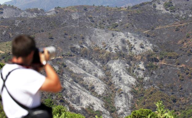 Una de las áreas calcinadas en Pujerra