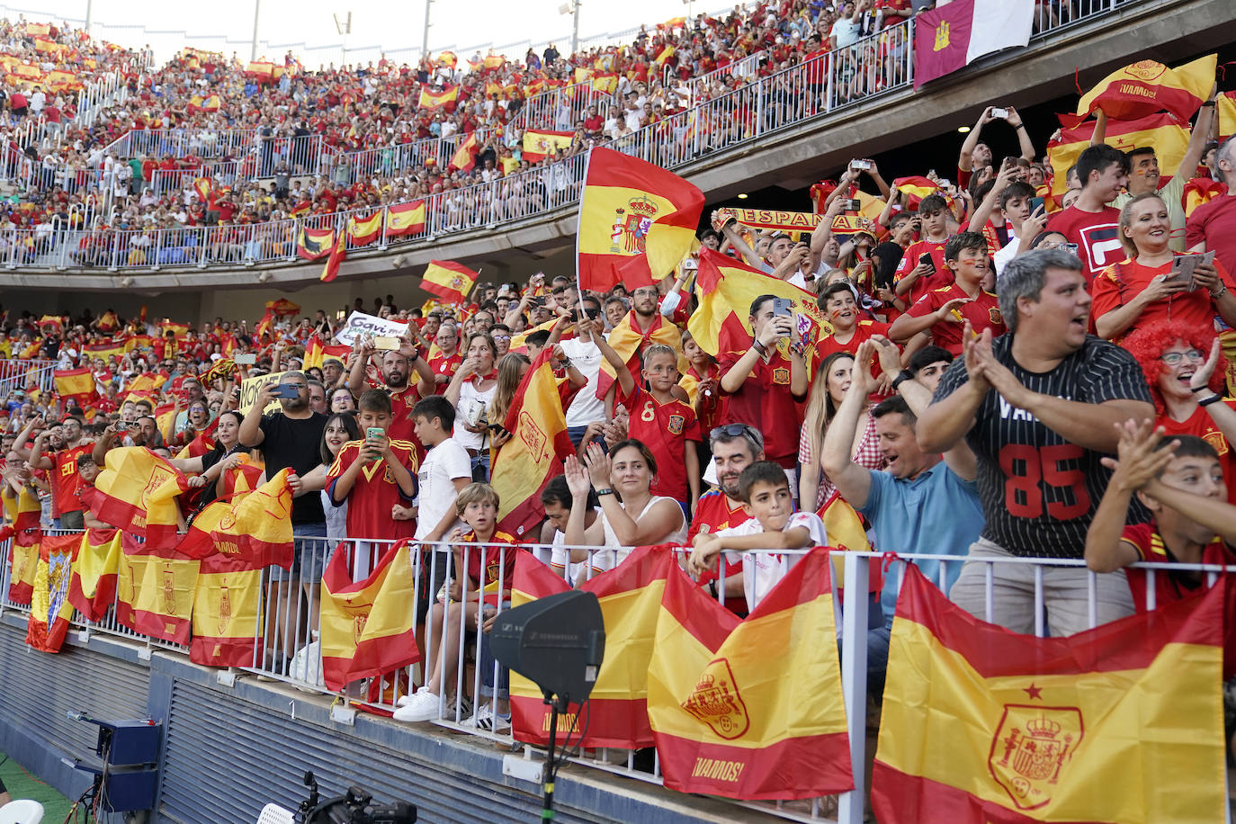 Partido españa en la rosaleda