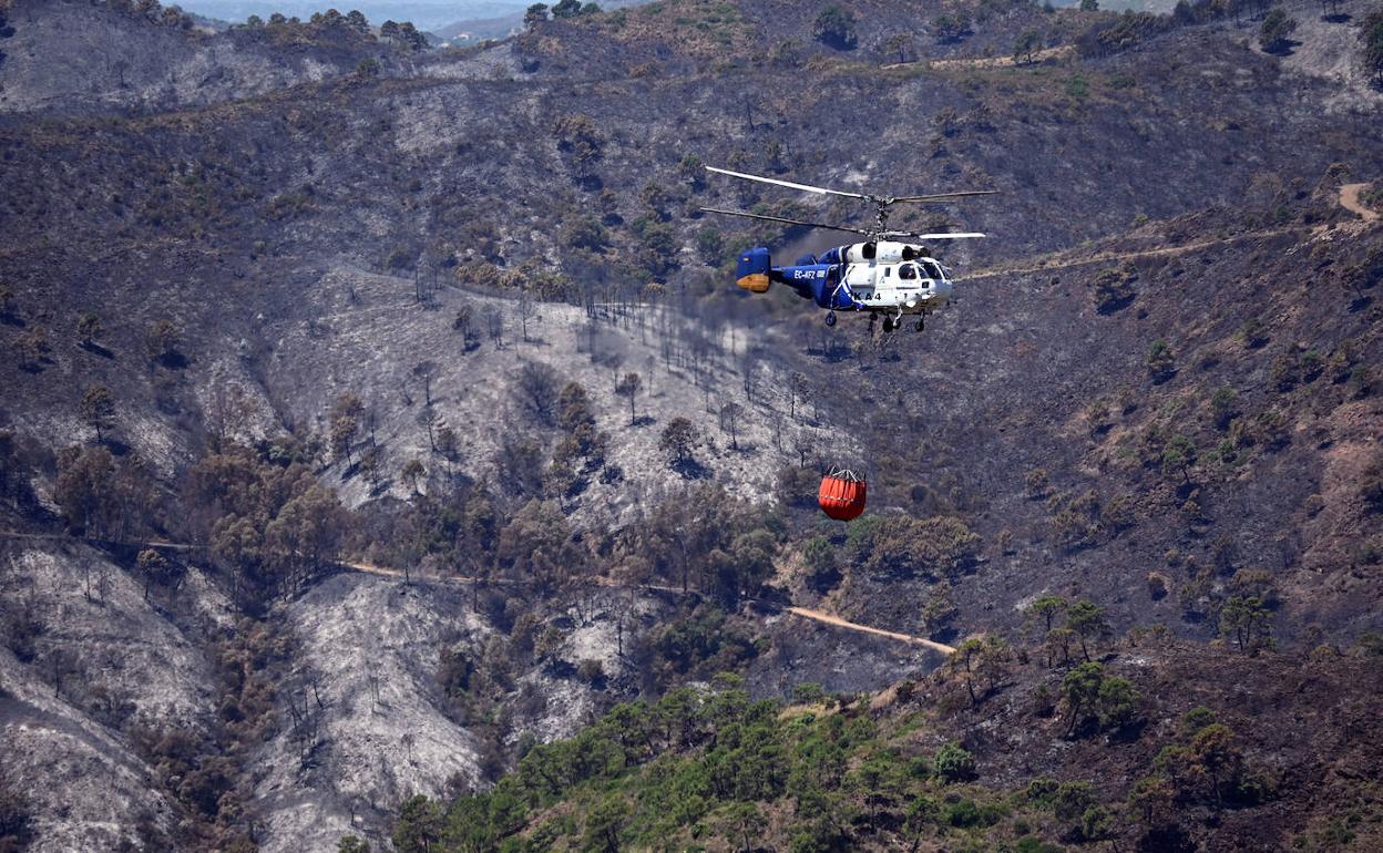 Incendio Sierra Bermeja: Amplían los efectivos que luchan contra el incendio de Pujerra, que está perimetrado al 80%