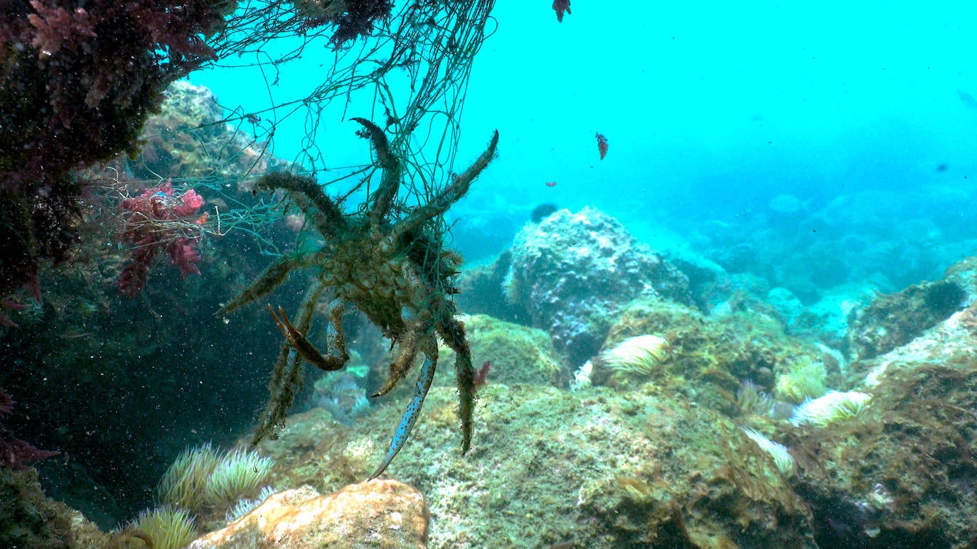 Fotos: Buceadores retiran una red abandonada frente a los Baños del Carmen