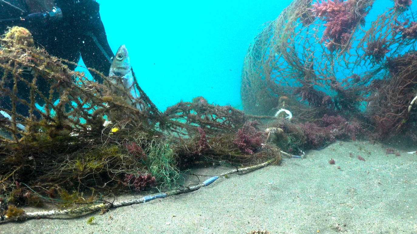 Fotos: Buceadores retiran una red abandonada frente a los Baños del Carmen