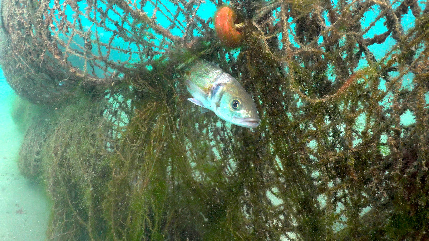 Fotos: Buceadores retiran una red abandonada frente a los Baños del Carmen