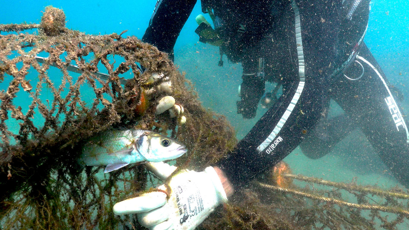 Fotos: Buceadores retiran una red abandonada frente a los Baños del Carmen