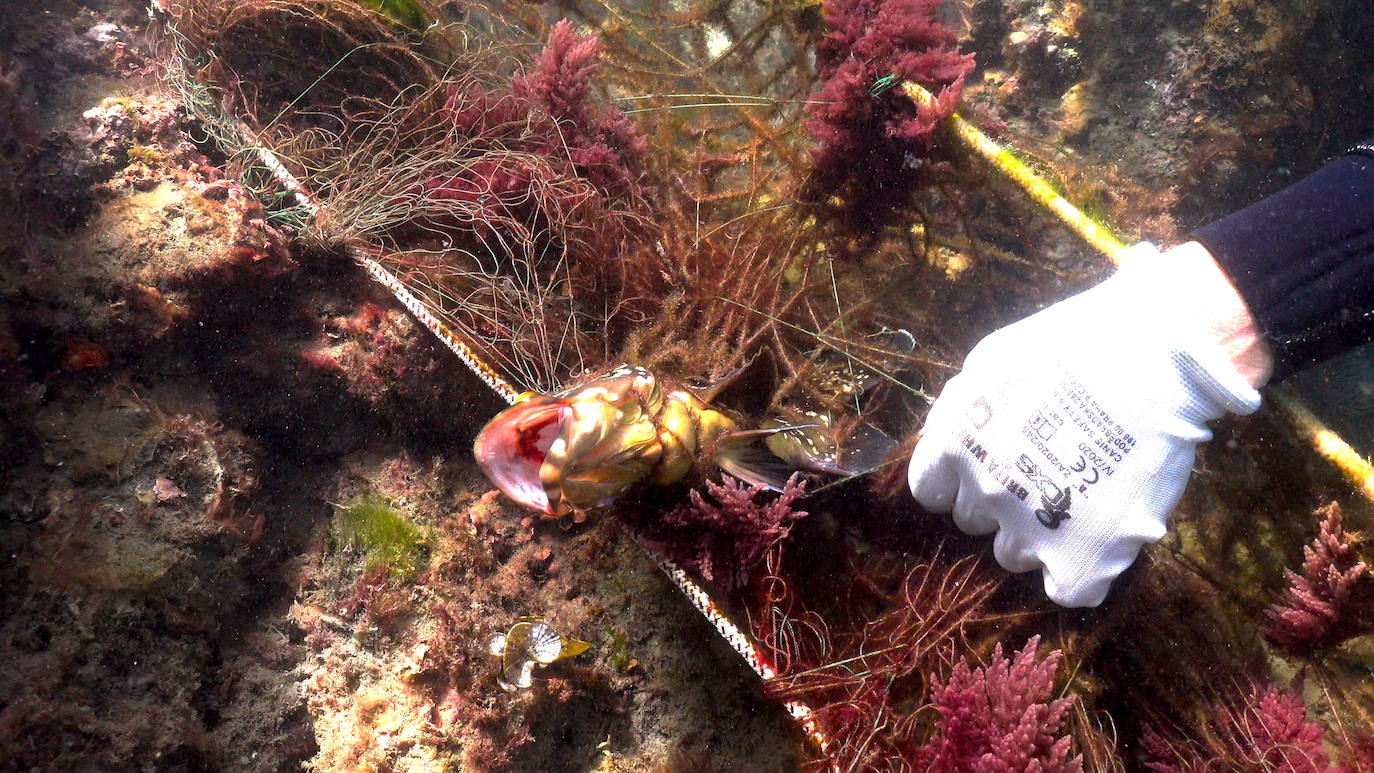 Fotos: Buceadores retiran una red abandonada frente a los Baños del Carmen