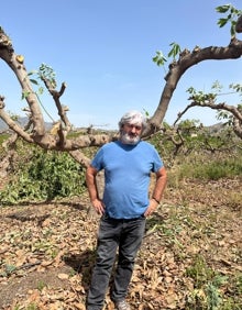 Imagen secundaria 2 - Arriba, los árboles talados en la finca de Ruiz en Triana, antes de ser arrancados; debajo a la izquierda, el embalse de La Viñuela, al 15% de su capacidad, con 24,8 hectometros, y a la derecha, Francisco Pineda, el guarda de la comunidad, con los árboles talados. 