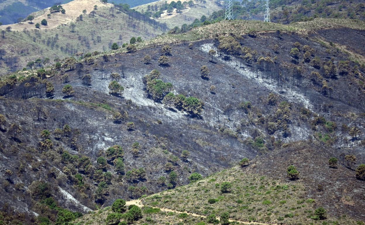 Vista desde la urbanización de Montemayor, en Benahavís, de la zona afectada por el fuego 