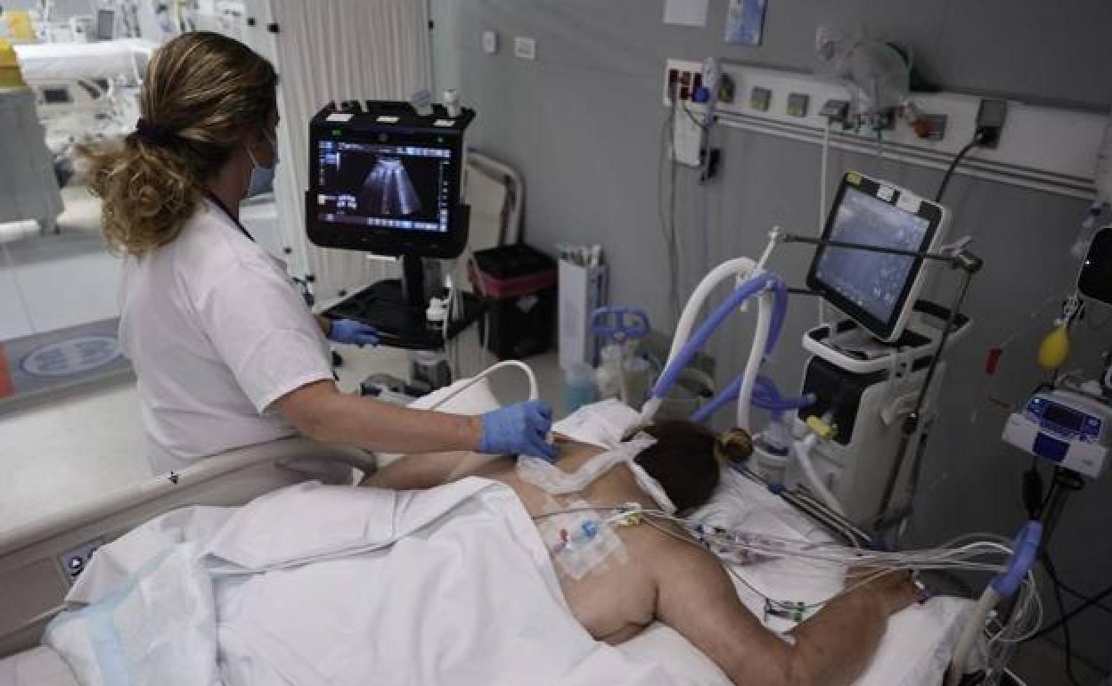 Andalucía supera los 500 hospitalizados por Covid y suma 33 muertes