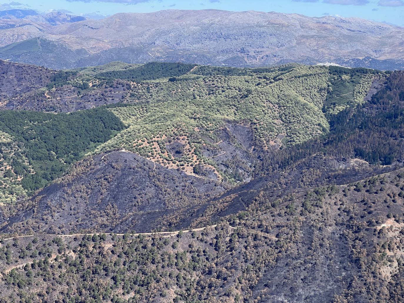 El incendio forestal originado en Pujerra se dio por extinguido después de casi 20 días de lucha contra las llamas