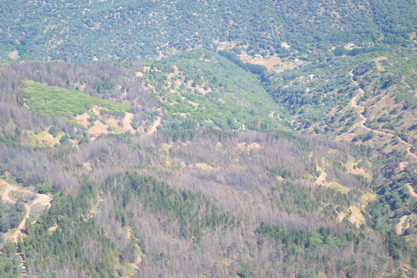 El incendio forestal originado en Pujerra se dio por extinguido después de casi 20 días de lucha contra las llamas