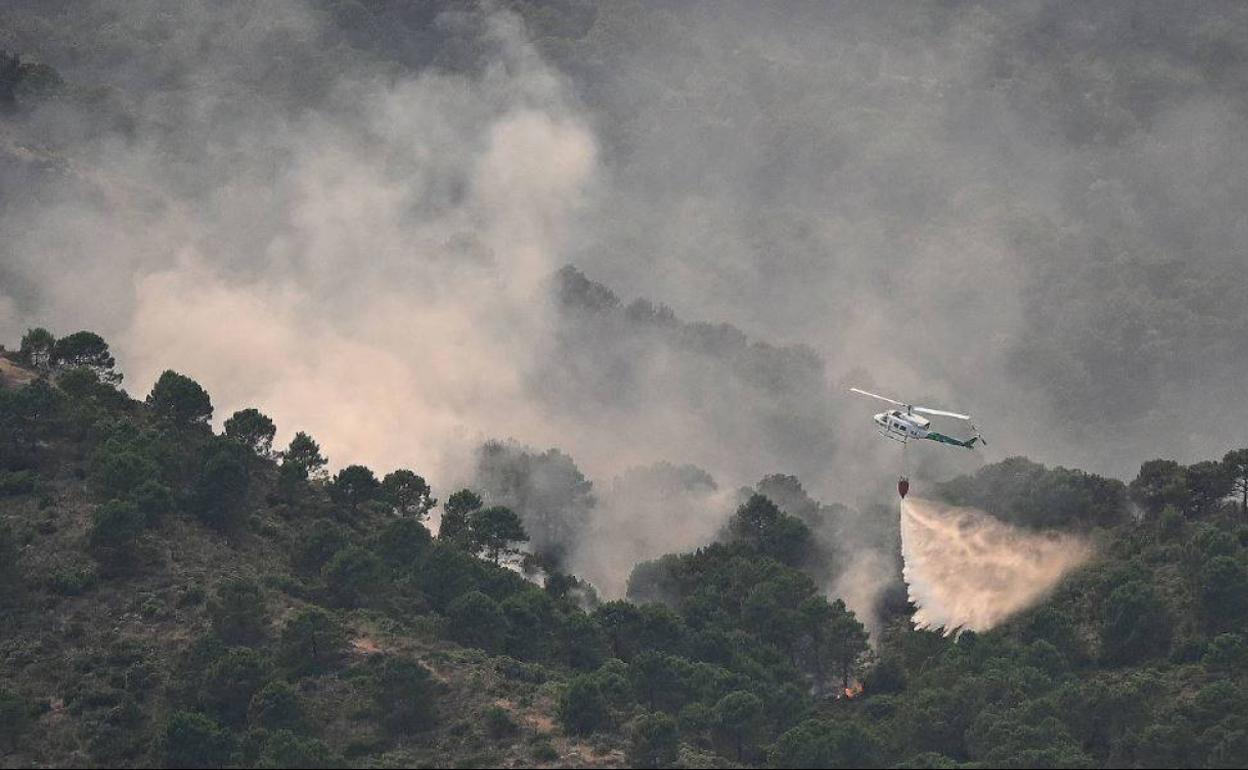 Imagen de las tareas desarrolladas para luchar contra el último incendio registrado en Sierra Bermeja. 