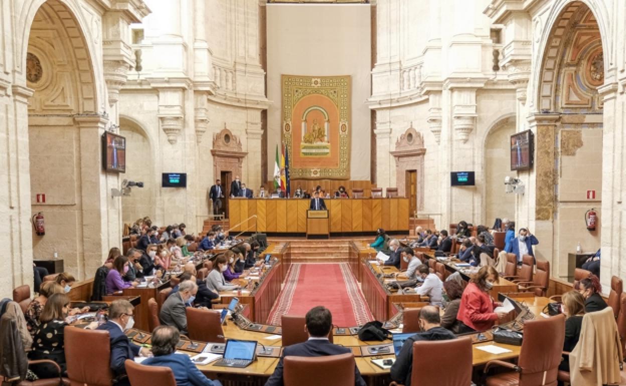 Menos de un tercio de los electos tiene experiencia parlamentaria