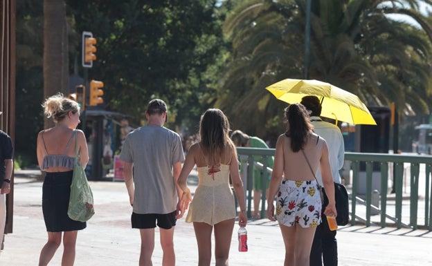 El tiempo Málaga: La calima y las altas temperaturas vuelven a amenazar a Málaga