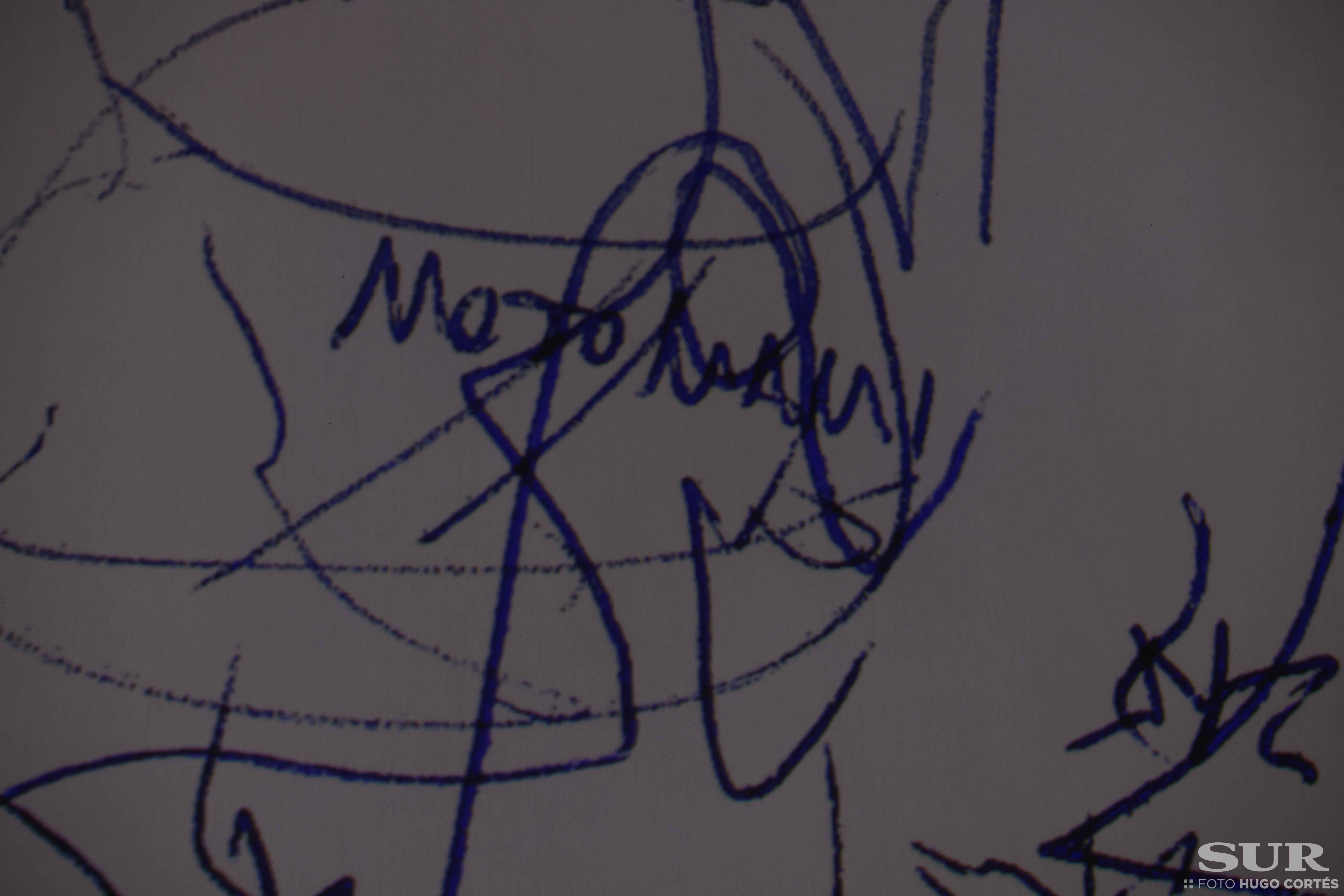 Rosalía ha actuado en Fuengirola. 